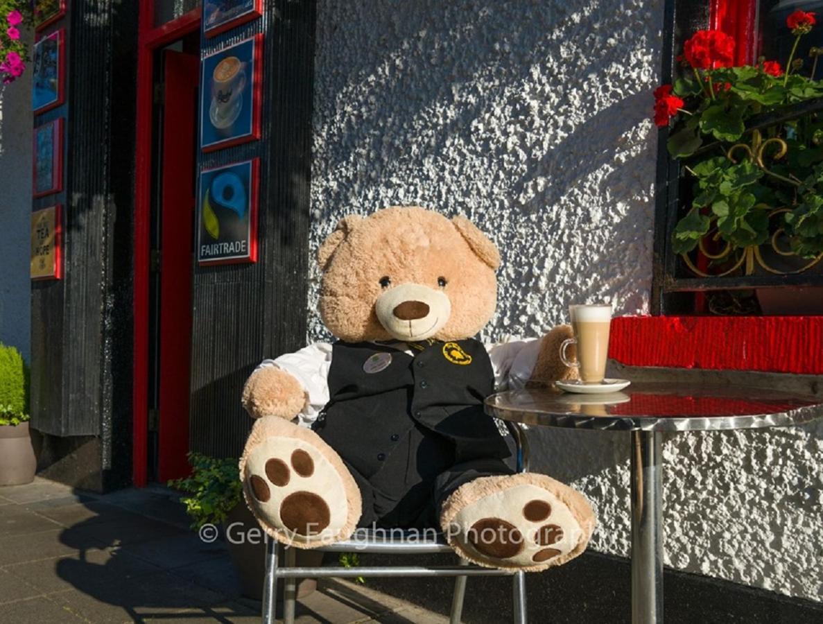 Bush Hotel County Leitrim Esterno foto